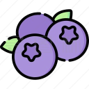蓝莓音乐软件