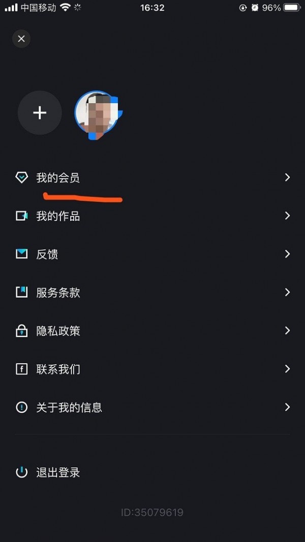 FacePlay换脸软件