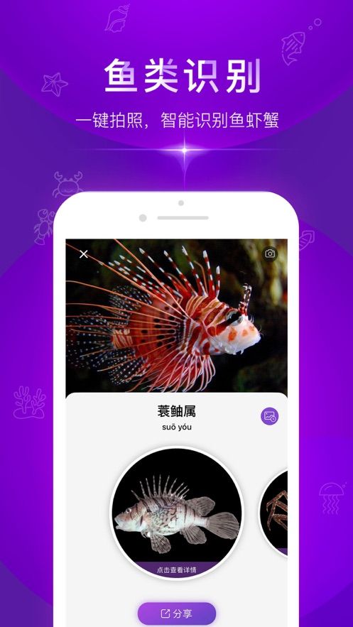 问鱼APP版手机平台