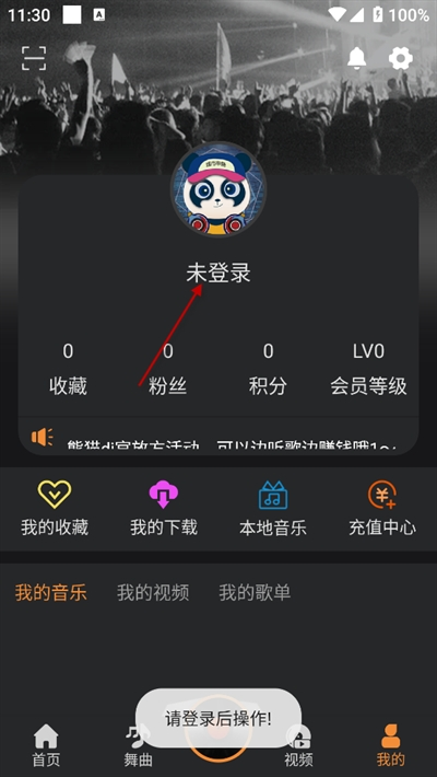 熊猫DJ