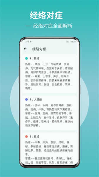 人体穴位图解