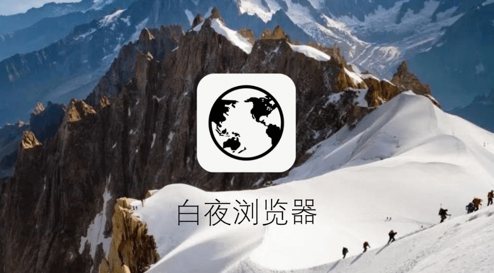 白夜浏览器电视版