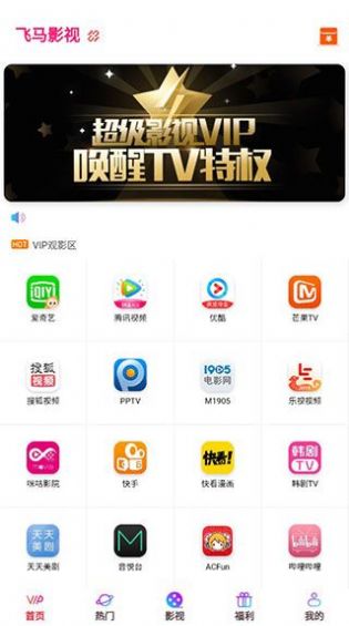 飞马影视软件下载安装