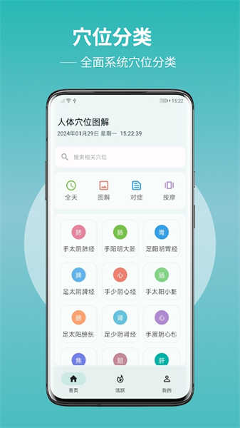人体穴位图解