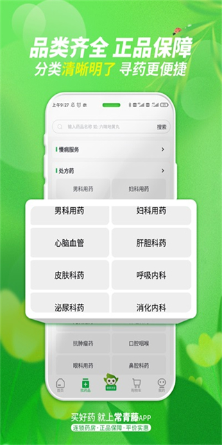 常青藤
