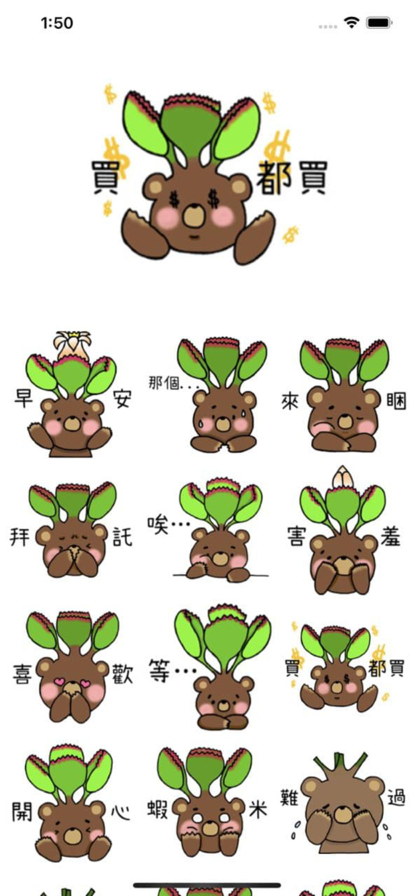 绒毛子叶