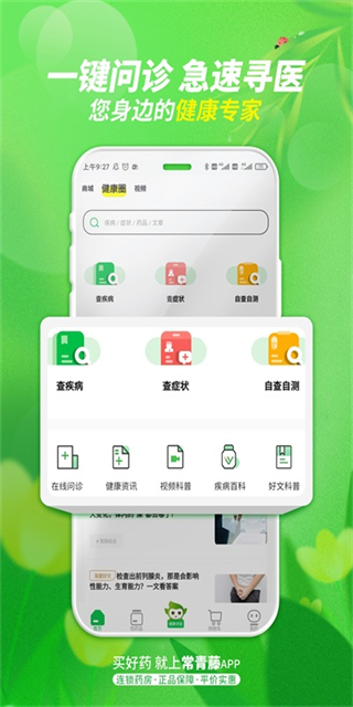 常青藤