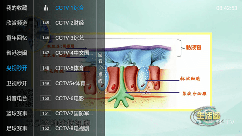 天水麻辣烫美食影视软件下载