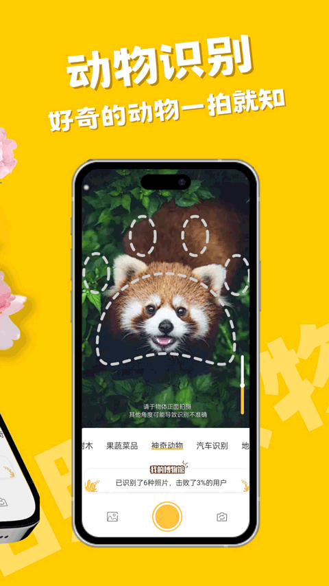 随手拍照识物