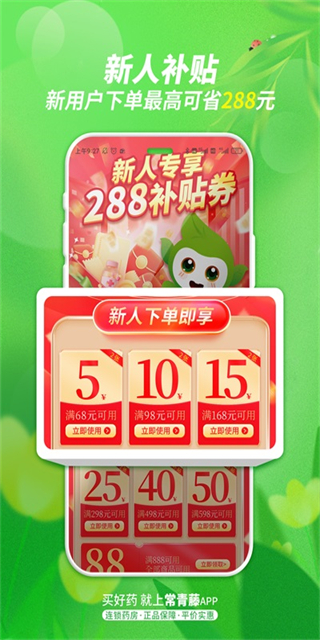 常青藤
