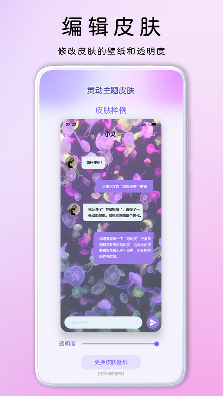 灵动主题皮肤软件版