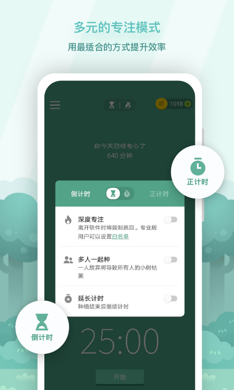 专注森林自律生活