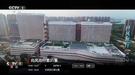 春阳电视app下载