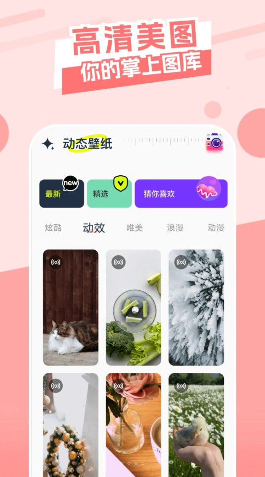 主题库精灵软件下载