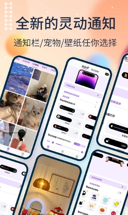 多多灵动组件软件版