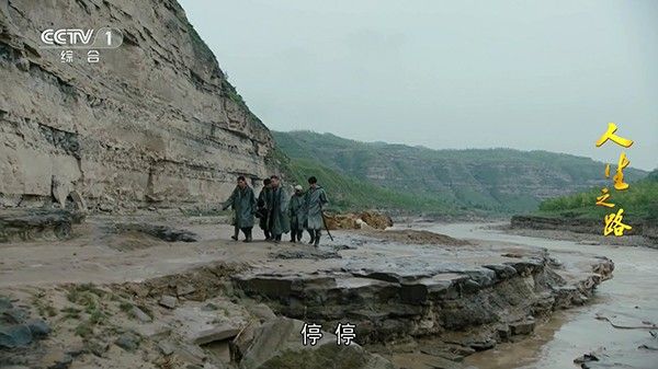 青橘影视app下载