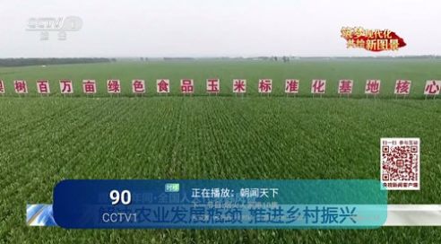 独眼龙影视软件下载