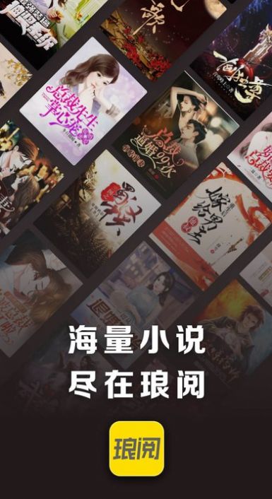琅阅小说app版