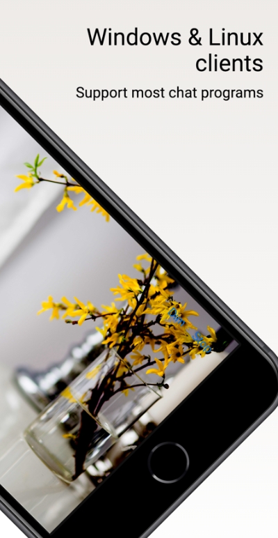 DroidCam