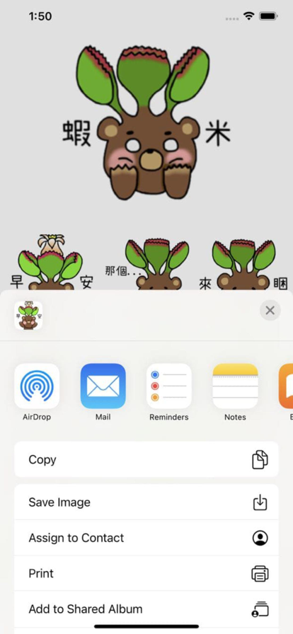 绒毛子叶
