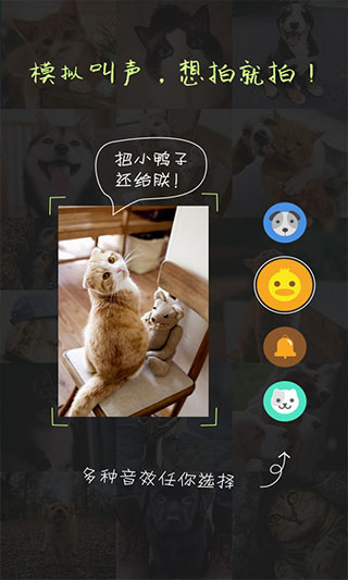 萌宠相机软件