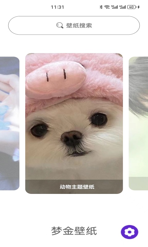 梦金壁纸软件下载