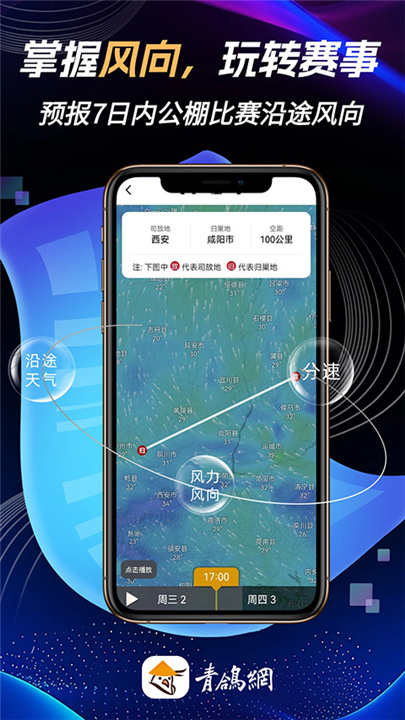 青鸽网