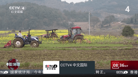 我的电视〇最新下载