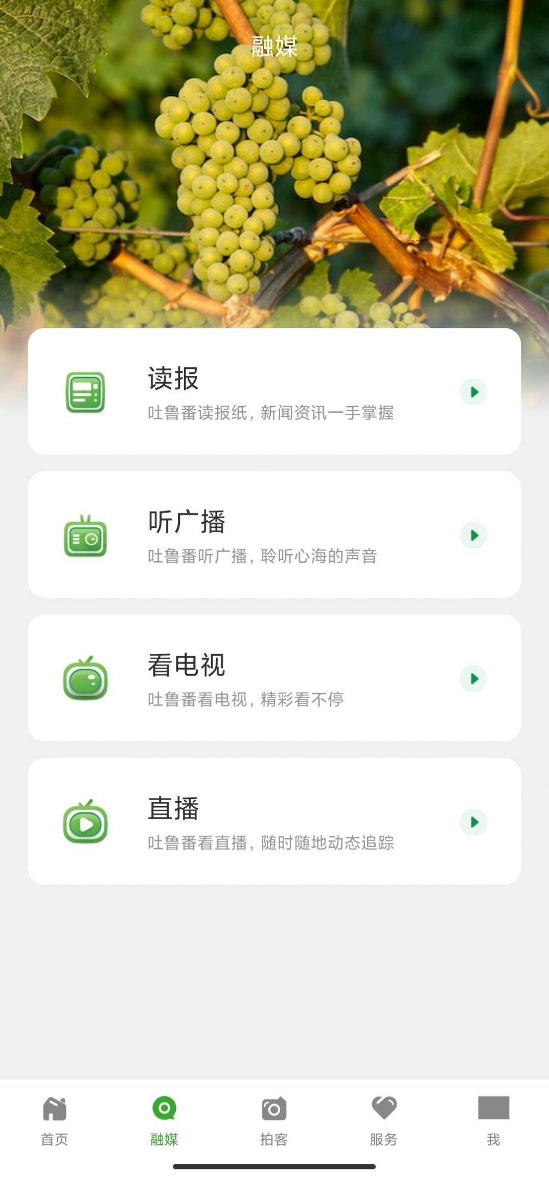 葡萄熟了资讯app安卓版