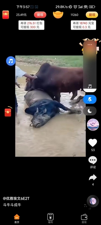 快拍客软件红包版