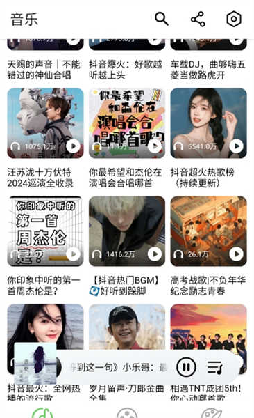 紫树视频