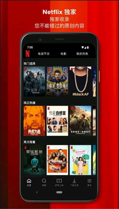 Netflix网飞