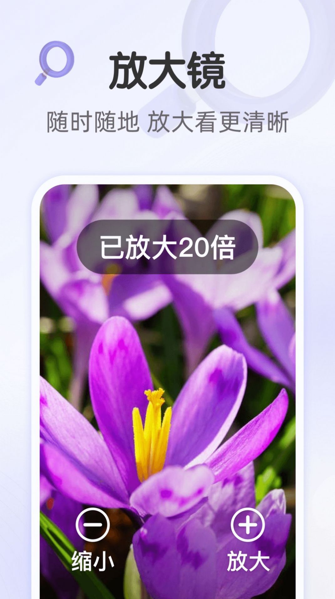 畅享大字版资讯阅读APP版