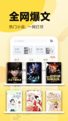 翻书阁小说软件