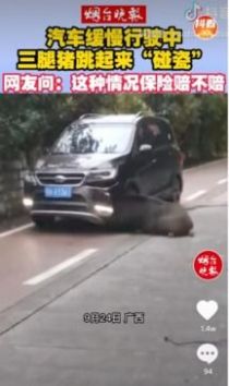 抖乐短视频app红包版