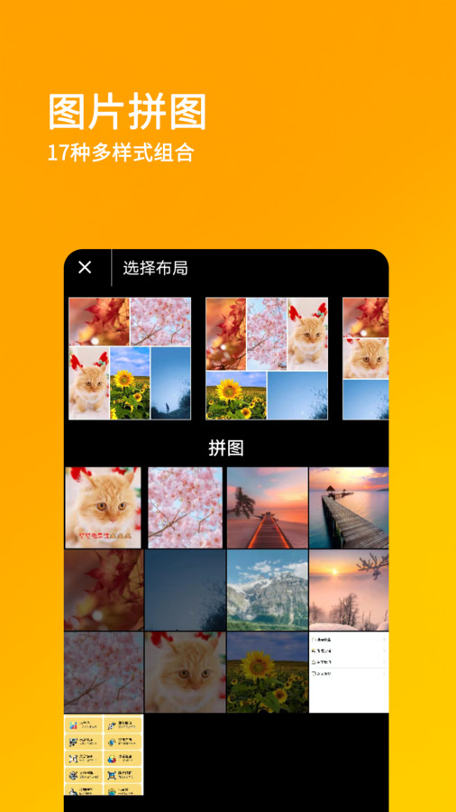 刷圈王软件版