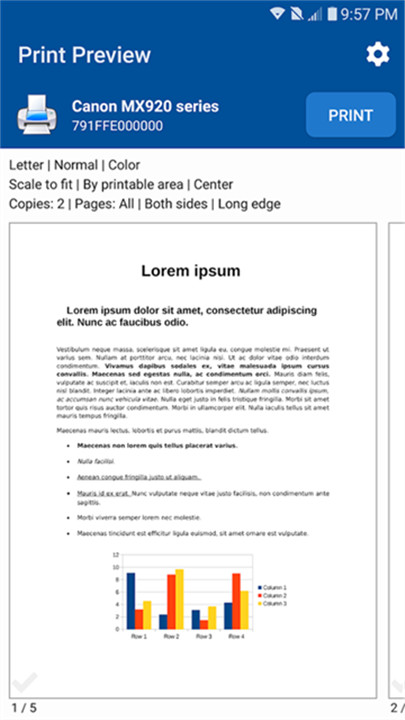 NokoPrint