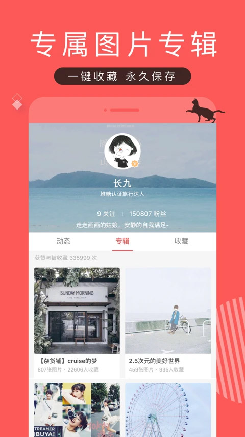 堆糖安卓版