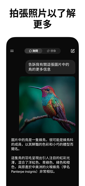Grok4.1卸甲版