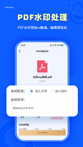 转转大师转换工具