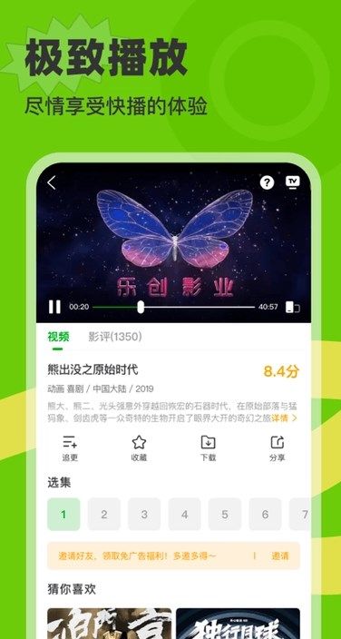 白鸟影评追剧