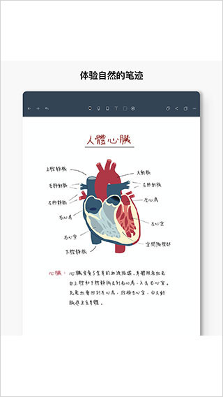 Noteshelf