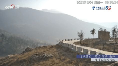 鲨鱼电视剧韩剧网tv版