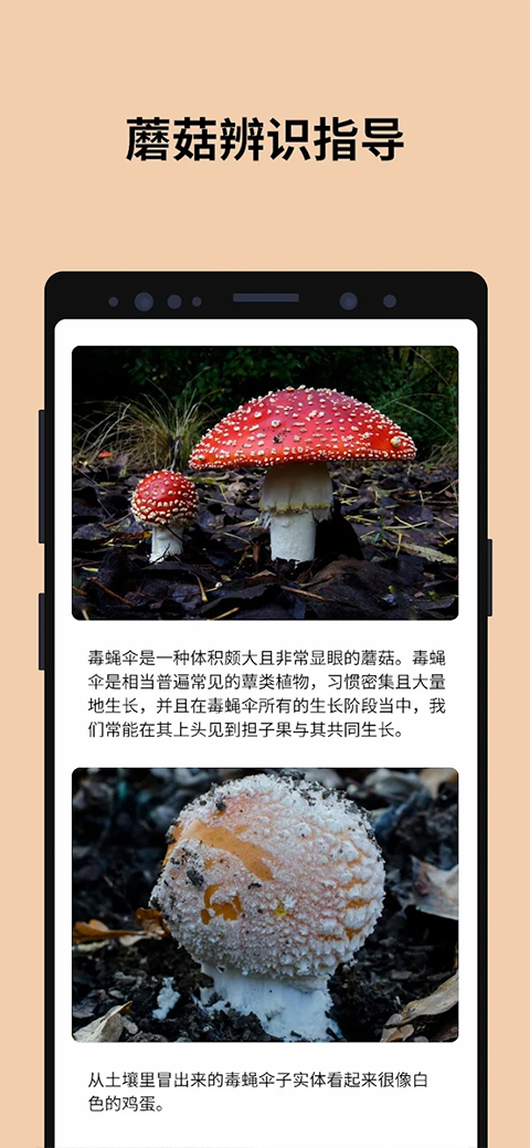 蘑菇识别扫一扫