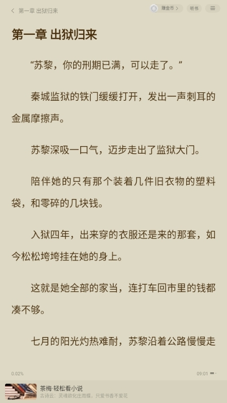 茶梅小说
