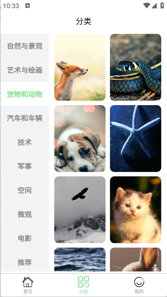 每日淘壁纸