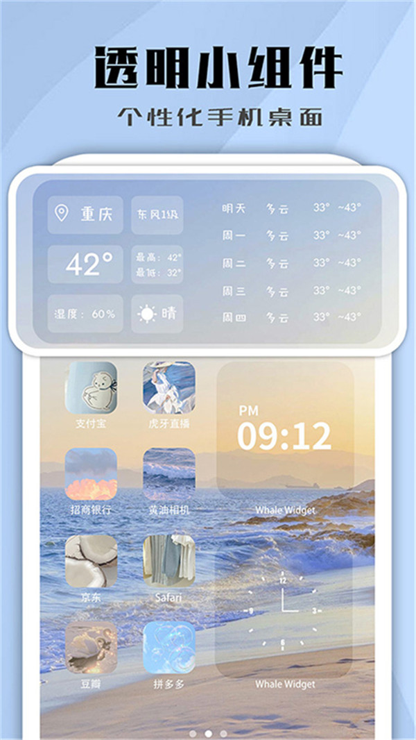 Whale Widget
