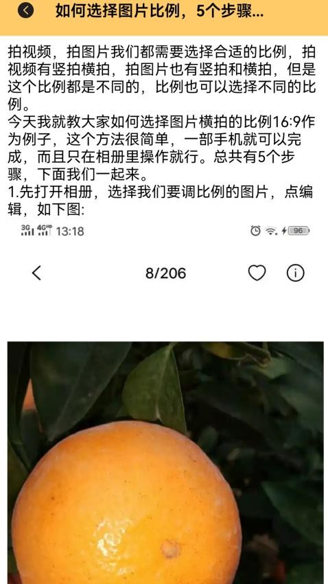 比例修改助手