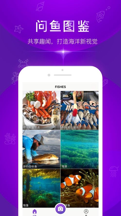 问鱼APP版手机平台