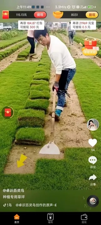 喜多宝软件最新版